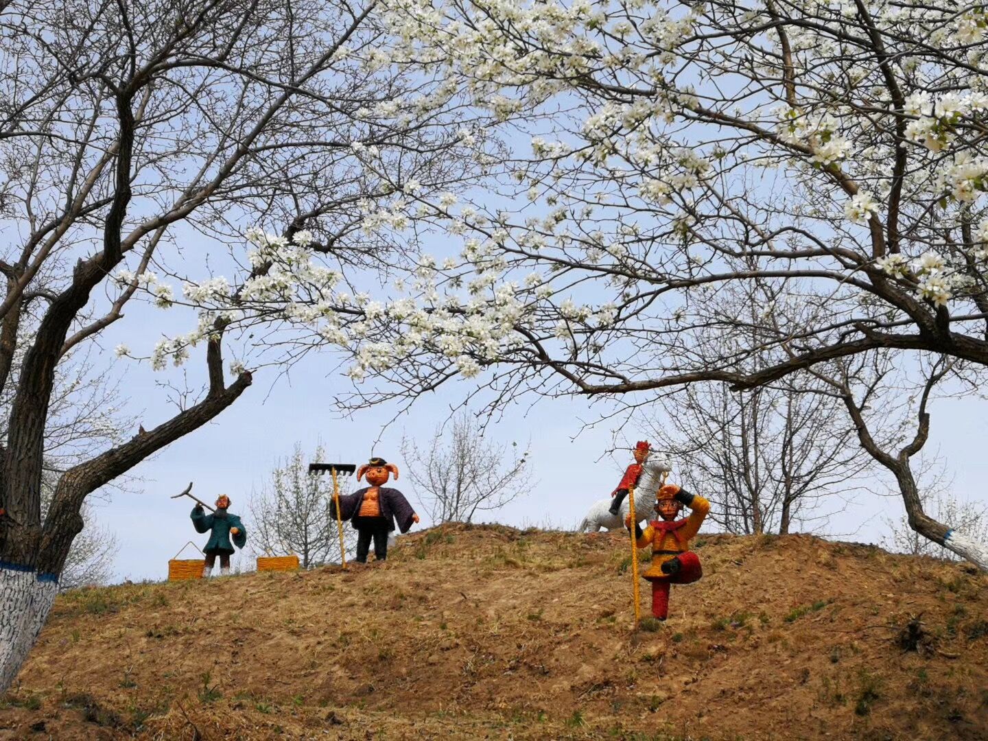 长春莲花山"百年梨花园"开园迎客